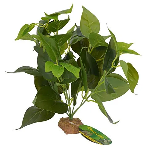Lucky Reptile Golden Pothos 64633 Terrarienpflanze 30 cm
