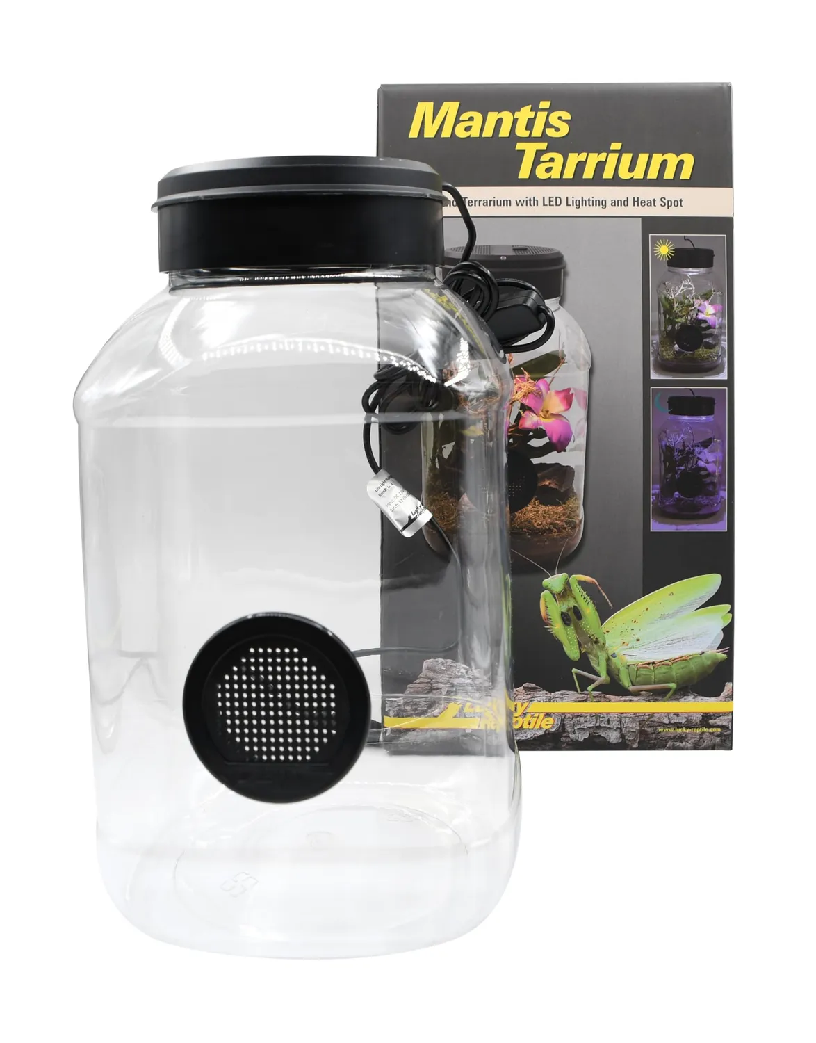Lucky Reptile MantisTarrium Kleinterrarium 18 x 18 x 35 cm