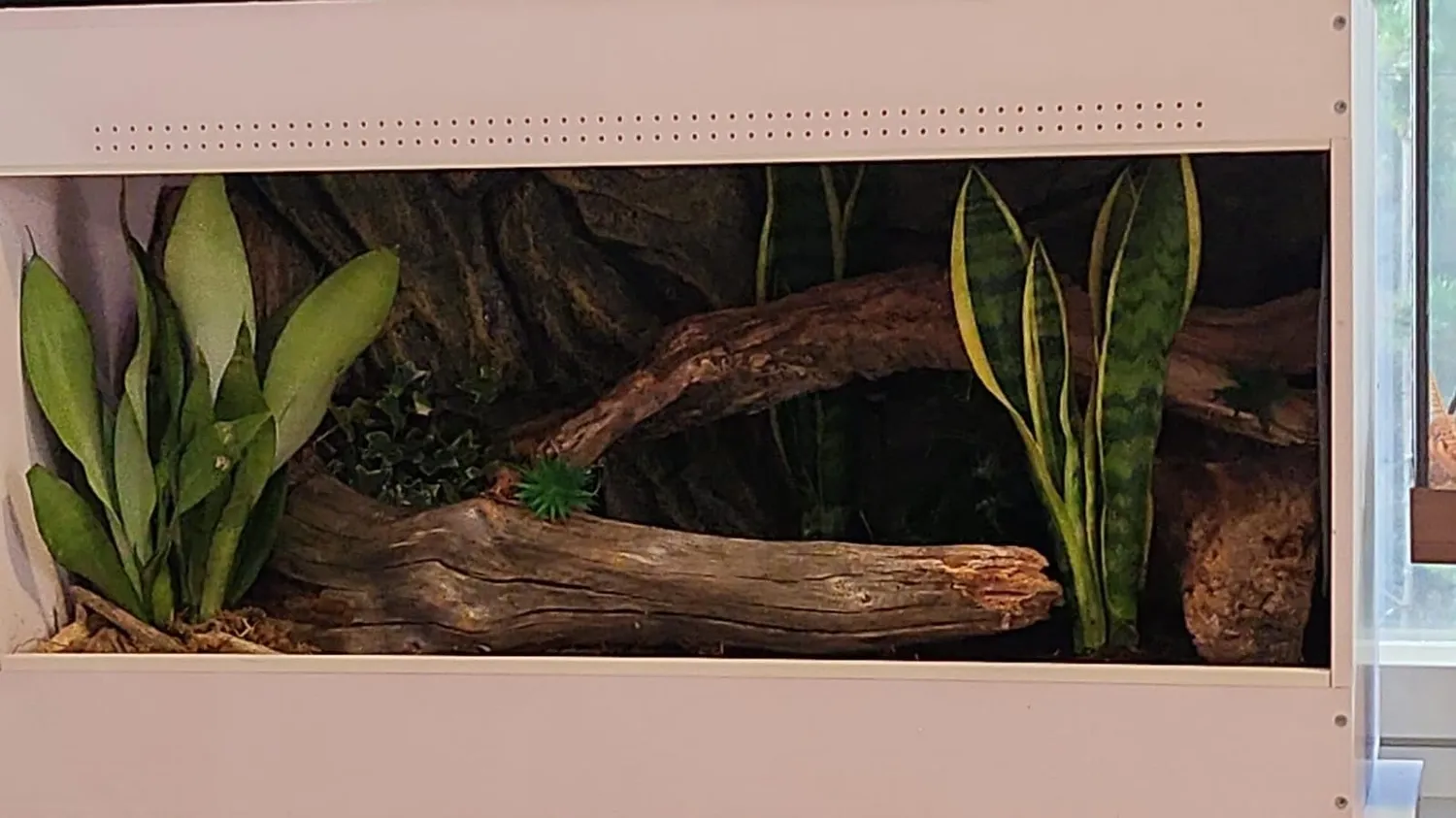 Lucky Reptile IsoTarrium Basic Kunststoffterrarium