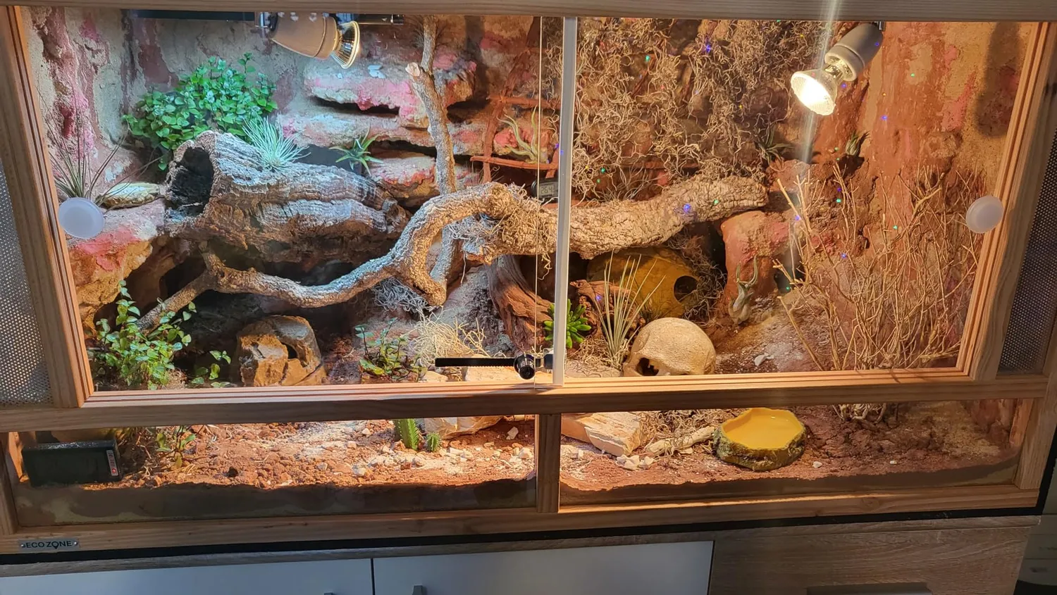 Lucky Reptile Life Experience Deco Set Terrariumdeko