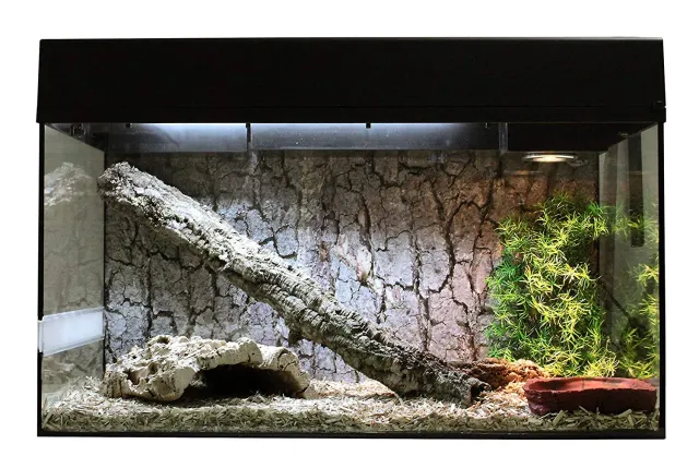 Lucky Reptile Schlangen Starter Kit Terrarium Komplettset
