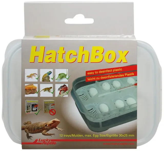 Lucky Reptile Hatch Box Brutbox für 12 Eier mit Thermometer