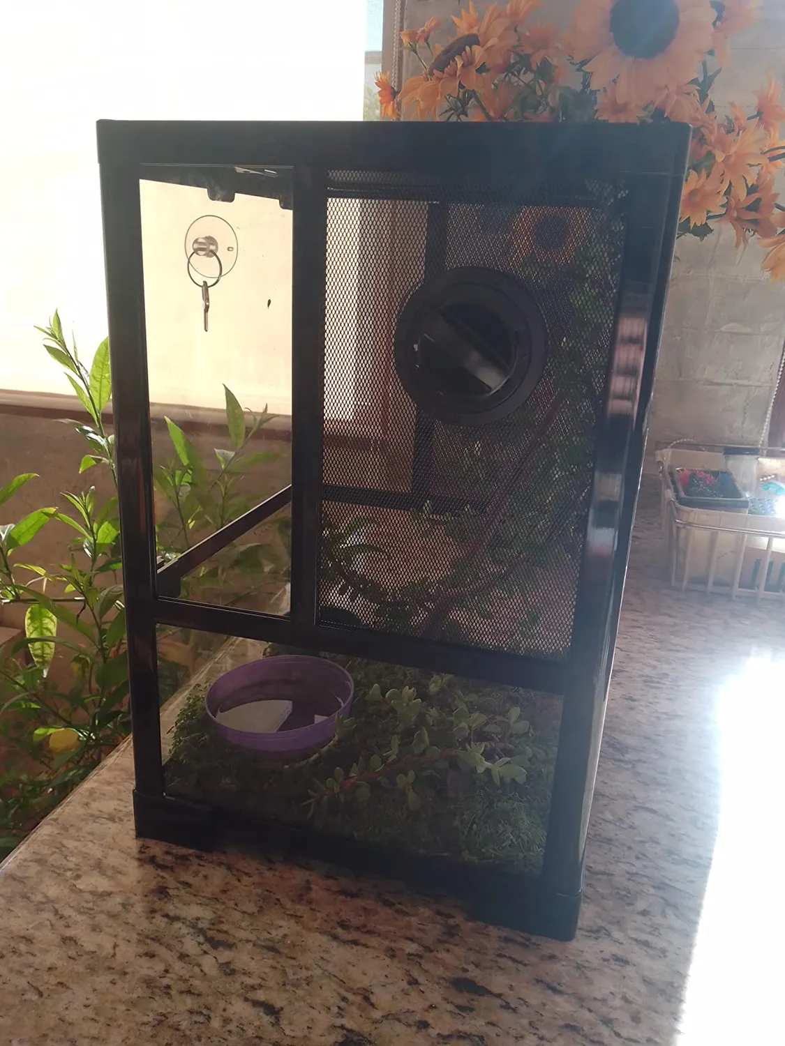 Repti-Zoo RK NET Terrarium 30x30x45 cm Lüftungsgitter