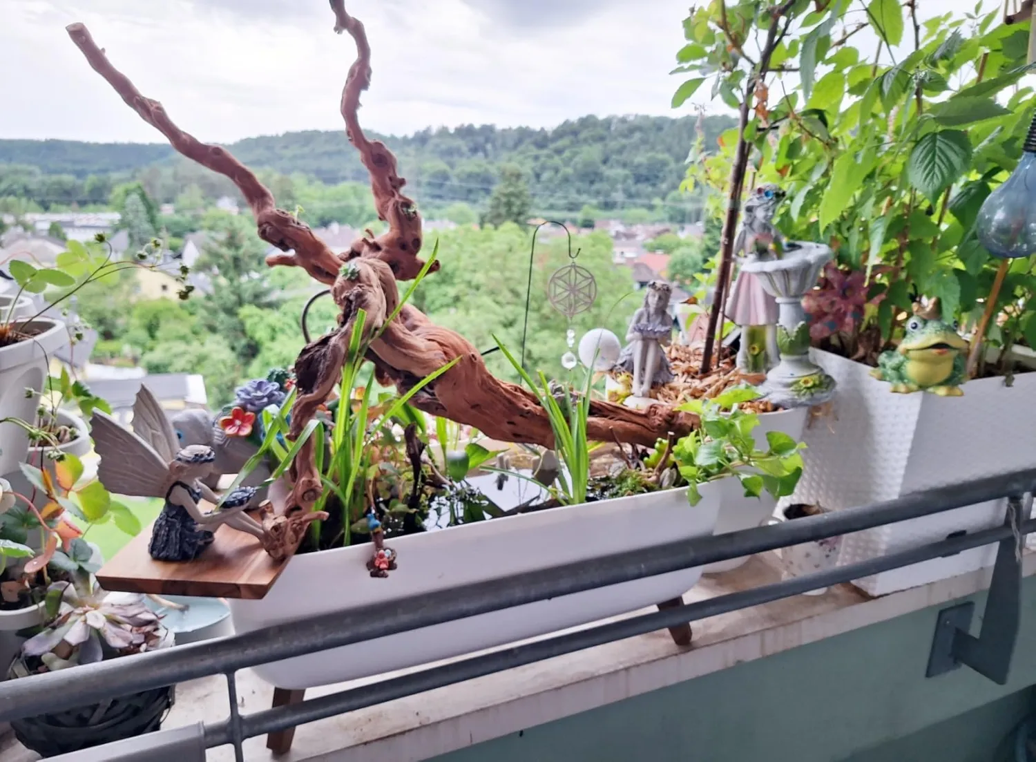 Lucky Reptile Rebholz Kletterholz