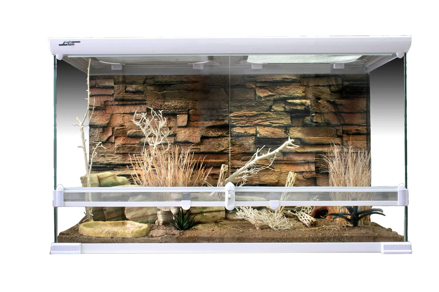 Lucky Reptile Grasbüschel Terrarienpflanze
