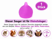 Die Mehlwurmfarm Kleinstsauger #2 Tierfutter für Eichhörnchen