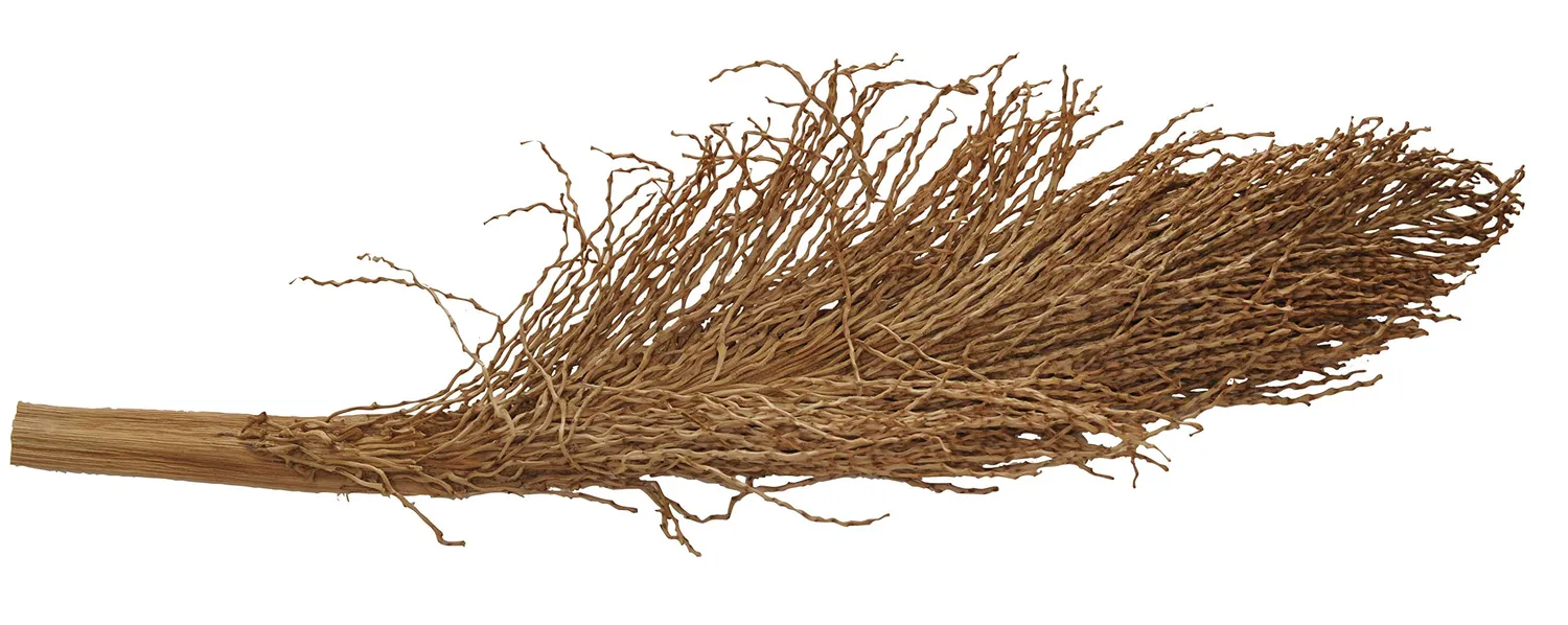 Lucky Reptile Palmwedel Palmfackel Terrariendeko 30-40 cm