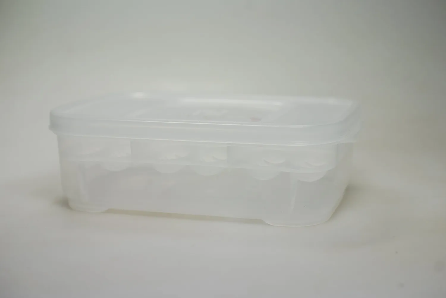 Lucky Reptile Hatch Box Brutbox für 12 Eier mit Thermometer