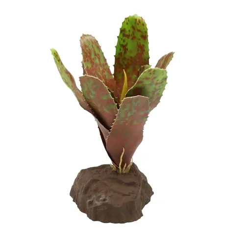 Lucky Reptile Scape it Easy Bromelie Neoregelia Pflanze