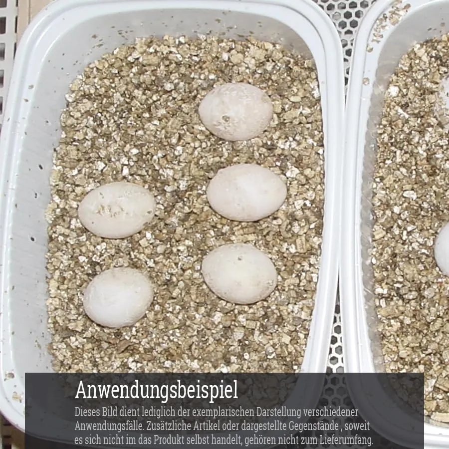 Lucky Reptile Vermiculite Brutsubstrat