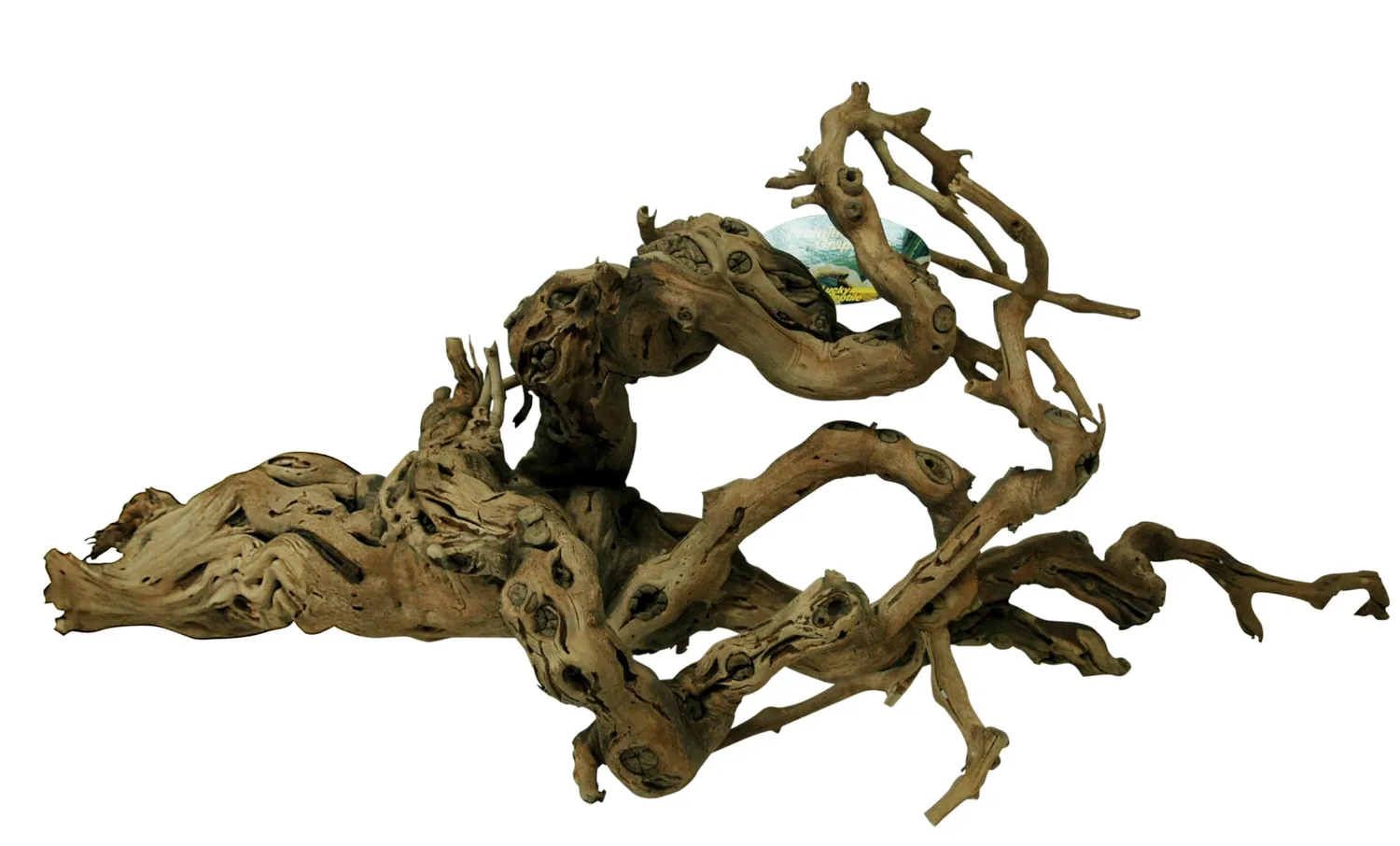 Lucky Reptile Rebholz Kletterholz