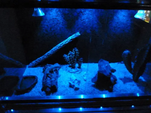 Lucky Reptile Night Sky LED Mondlichtset
