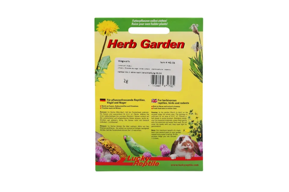 Lucky Reptile Herb Garden HG-08 Futtersamen Wegwarte 2 g