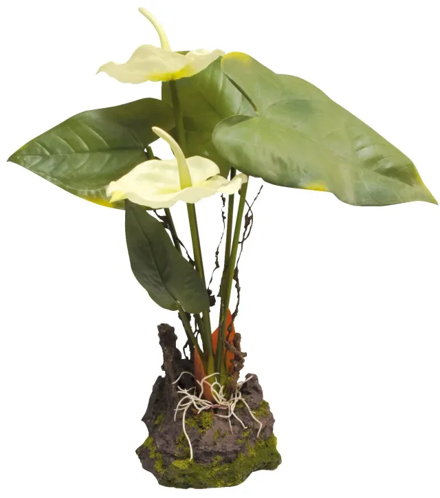 Lucky Reptile Anthurium IF-31 Kunstpflanze mit Fuß