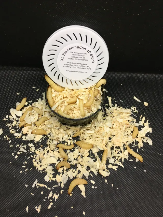 Die Mehlwurmfarm Premium Bienenmaden Angelköder Angeldose lebend