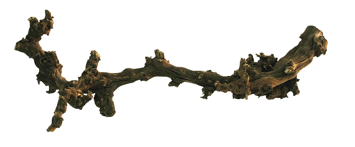 Lucky Reptile Rebholz Kletterholz