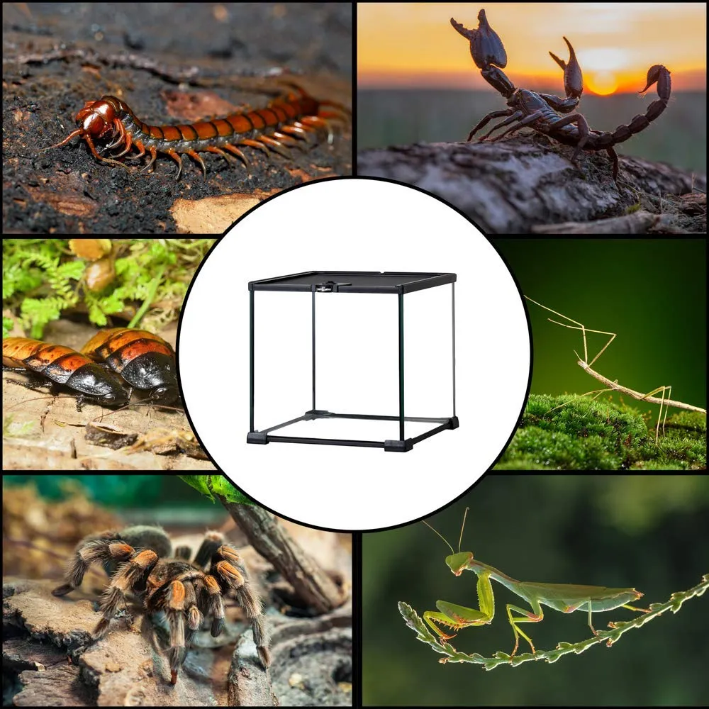 Repti-Zoo Simple Habitat Terrarium Glas