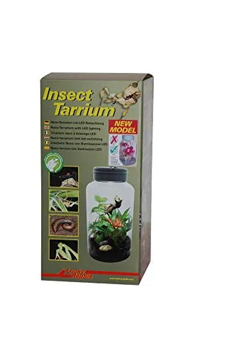 Lucky Reptile InsectTarrium Nanoterrarium mit Beleuchtung