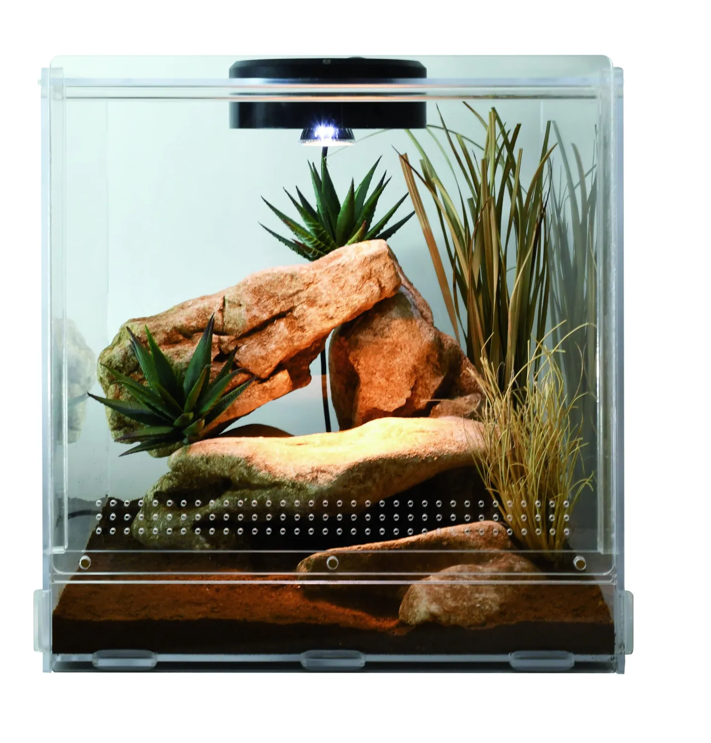 Lucky Reptile LifeTarrium Glasterrarium