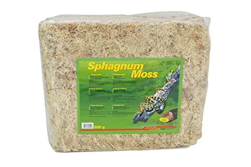 Lucky Reptile Sphagnum Moos Ziegel feuchtigkeitsspeichernd