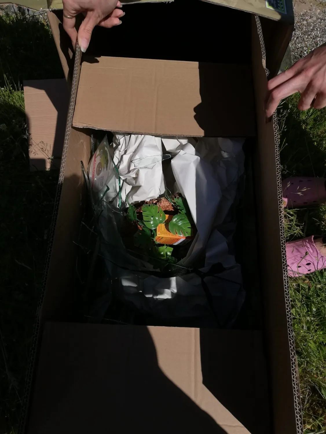 Lucky Reptile Schlangen Starter Kit Terrarium Komplettset