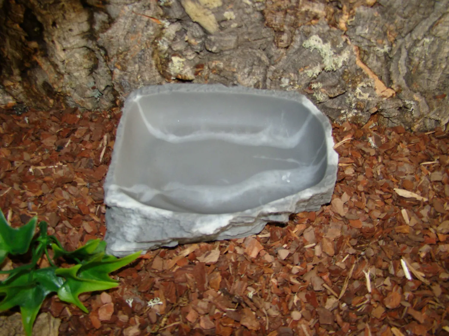 Lucky Reptile WDG-8 Corner Dish Terrariennapf