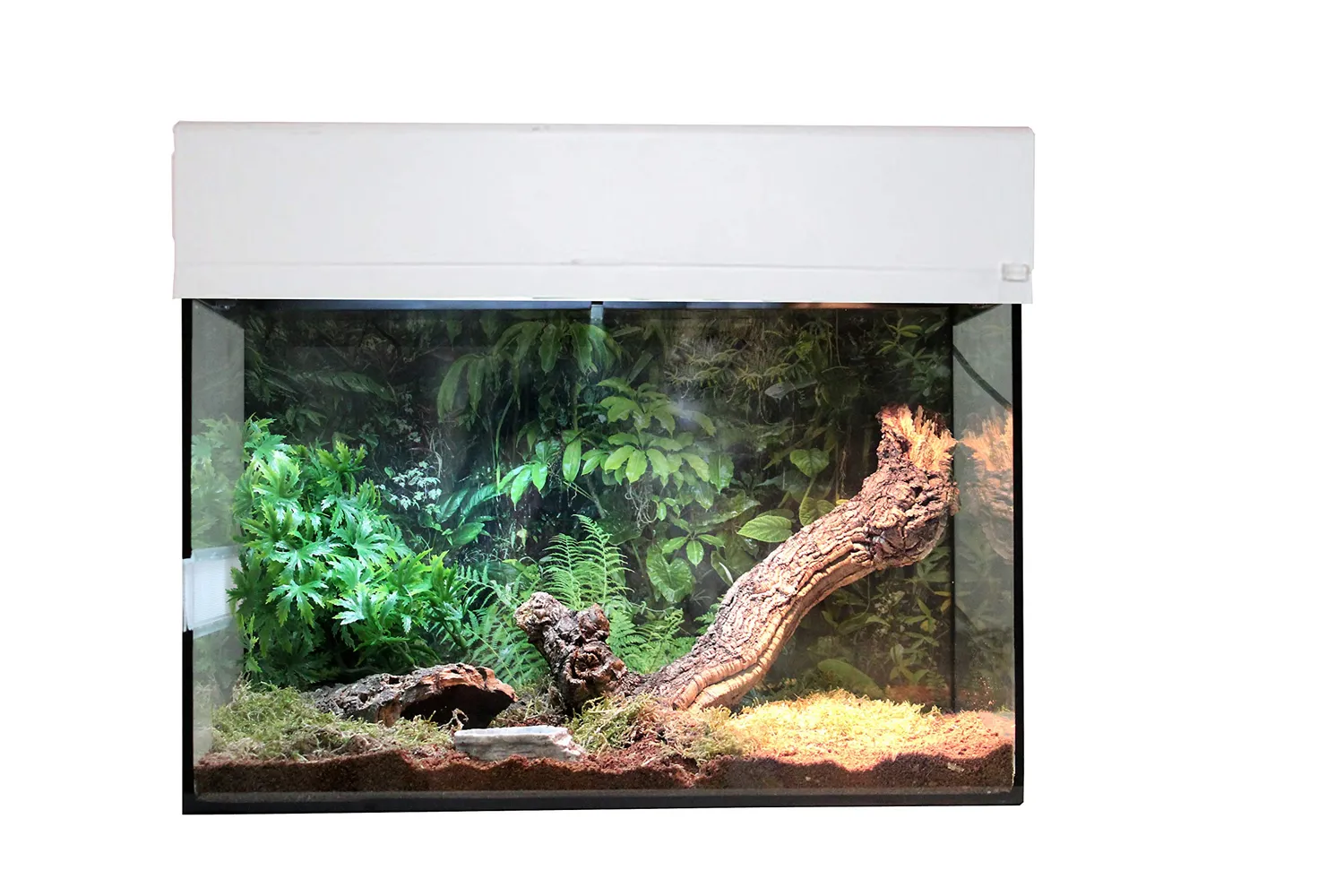 Lucky Reptile Starter Kit Vogelspinne Skorpion Terrarium