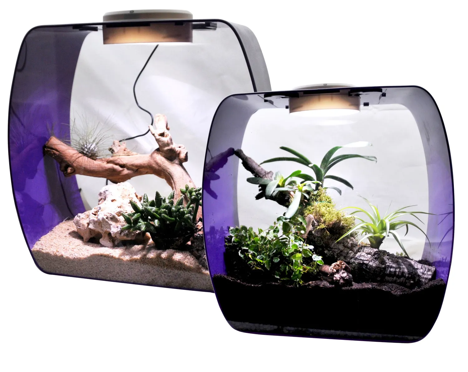Lucky Reptile Life Box LB-30OP Terrarium belüftet