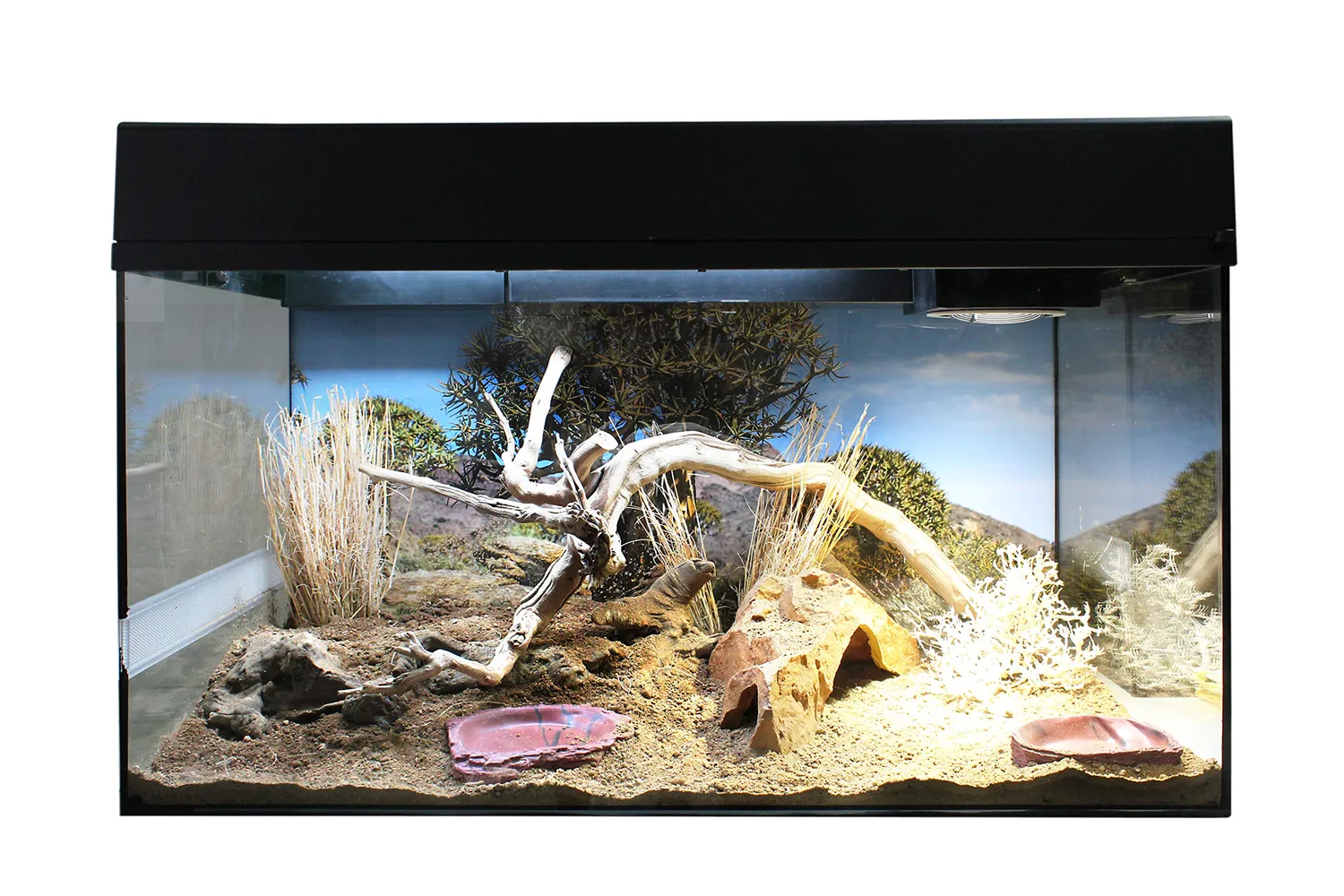 Lucky Reptile Water Dish Wasserschale Natursteinoptik