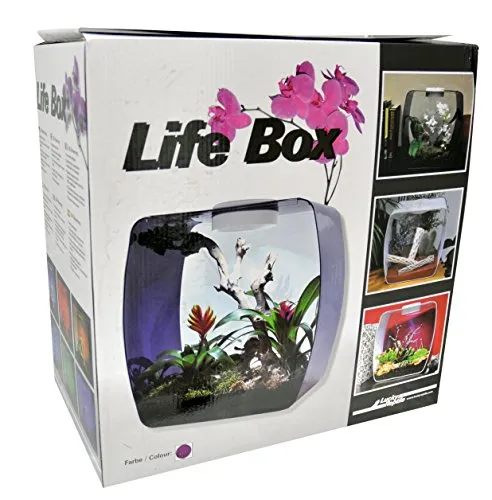Lucky Reptile Life Box LB-30OP Terrarium belüftet