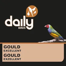 Die Mehlwurmfarm Daily Gould Excellent Vogelfutter Tropenvögel