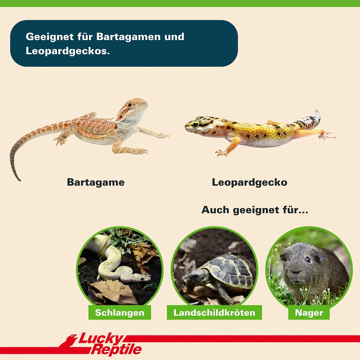 Lucky Reptile Cannabis Bedding Hanfstreu saugfähig