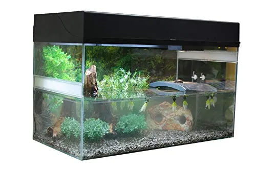 Lucky Reptile Starter Kit Wasserschildkröte Set 80 cm mit Filter