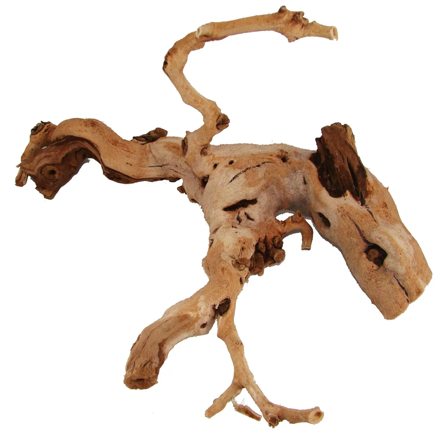 Lucky Reptile Rebholz Kletterholz