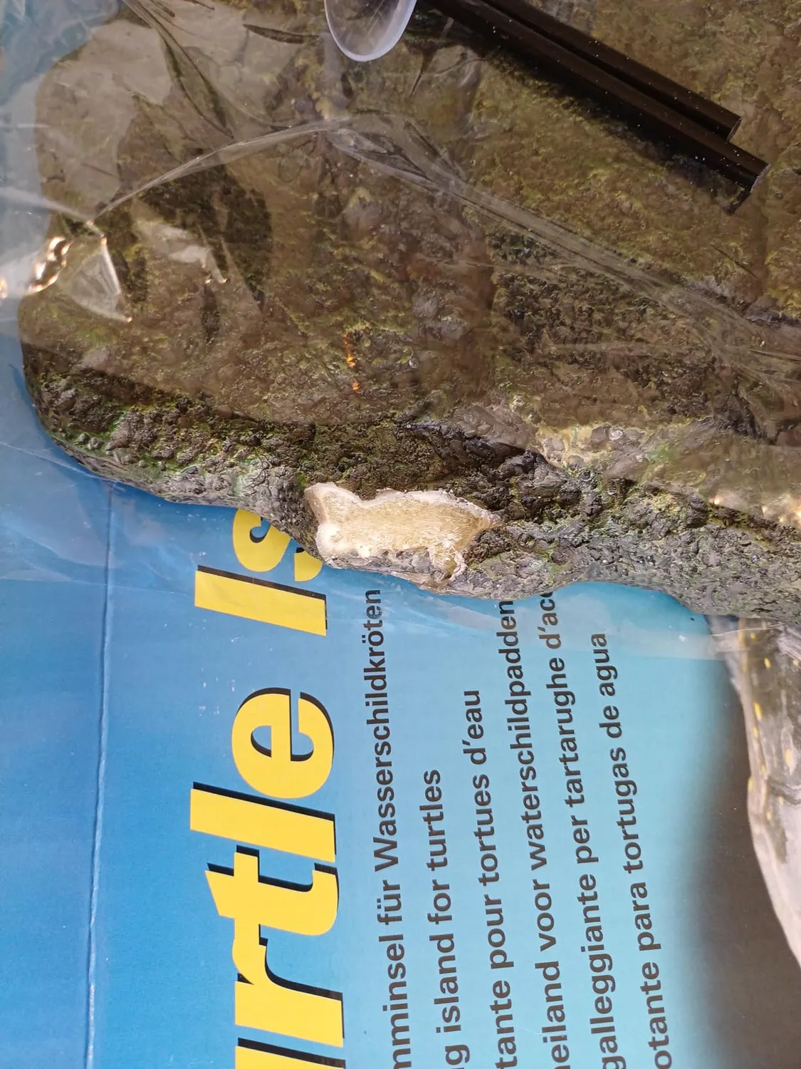 Lucky Reptile Turtle Island II Schwimminsel