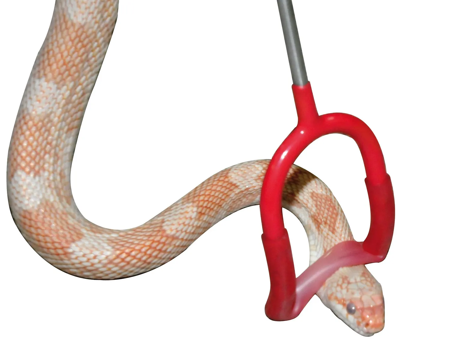Lucky Reptile LHP-100 Schlangenstock Pinner