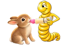 Die Mehlwurmfarm Bunny Nip Ultra Soft Sauger 14 Stück Set