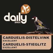 Die Mehlwurmfarm Carduelis Distelfink Excellent Vogelfutter