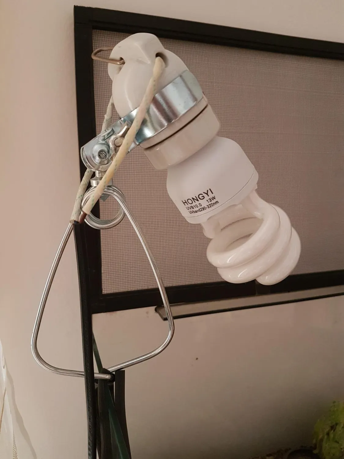 Lucky Reptile Thermo Socket Klemme Halterung