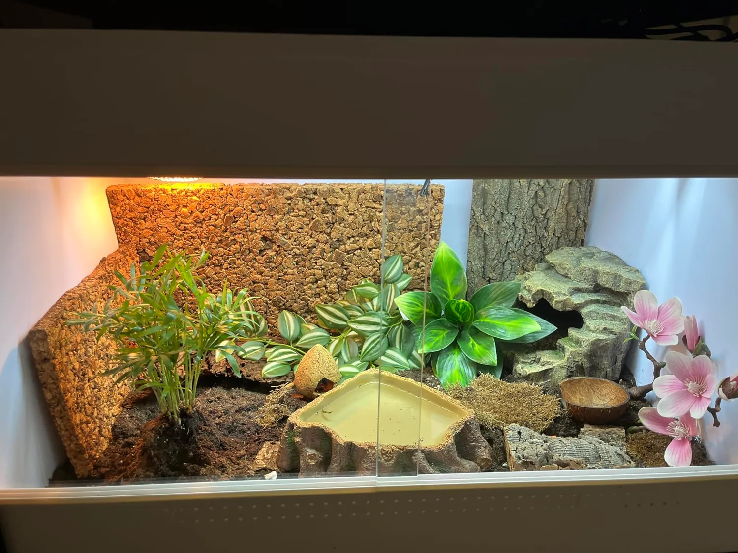 Lucky Reptile IsoTarrium Basic Kunststoffterrarium