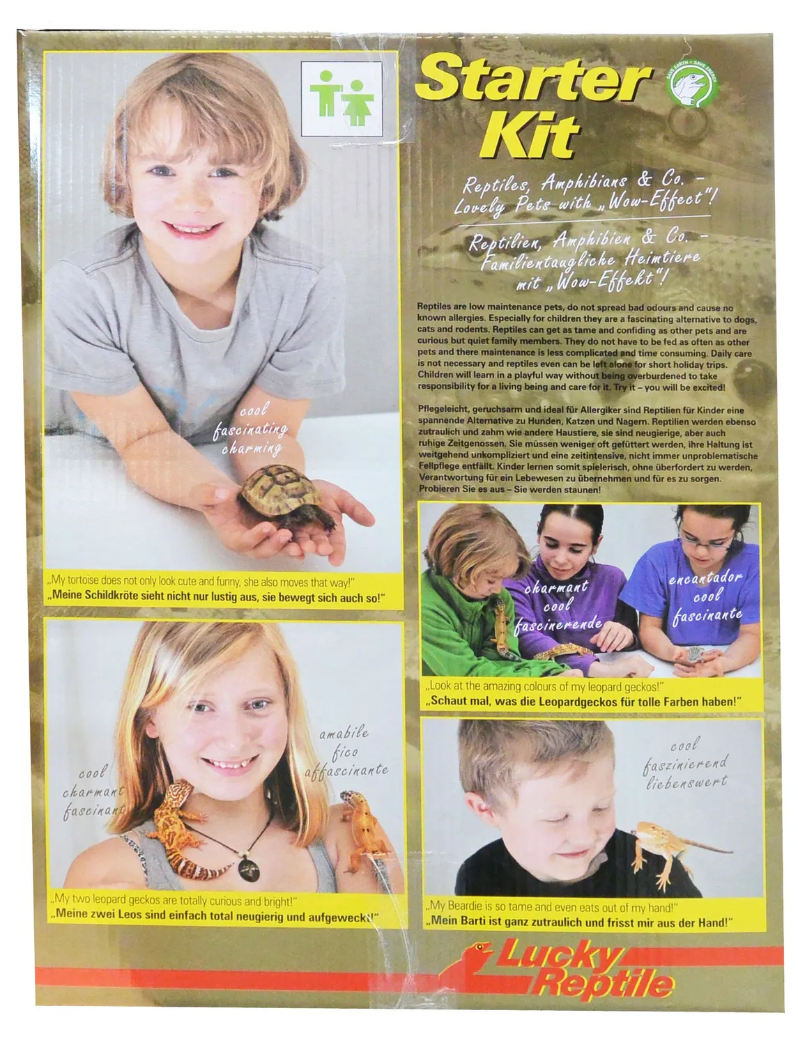 Lucky Reptile Starter Kit Bartagame Terrarium 80 cm
