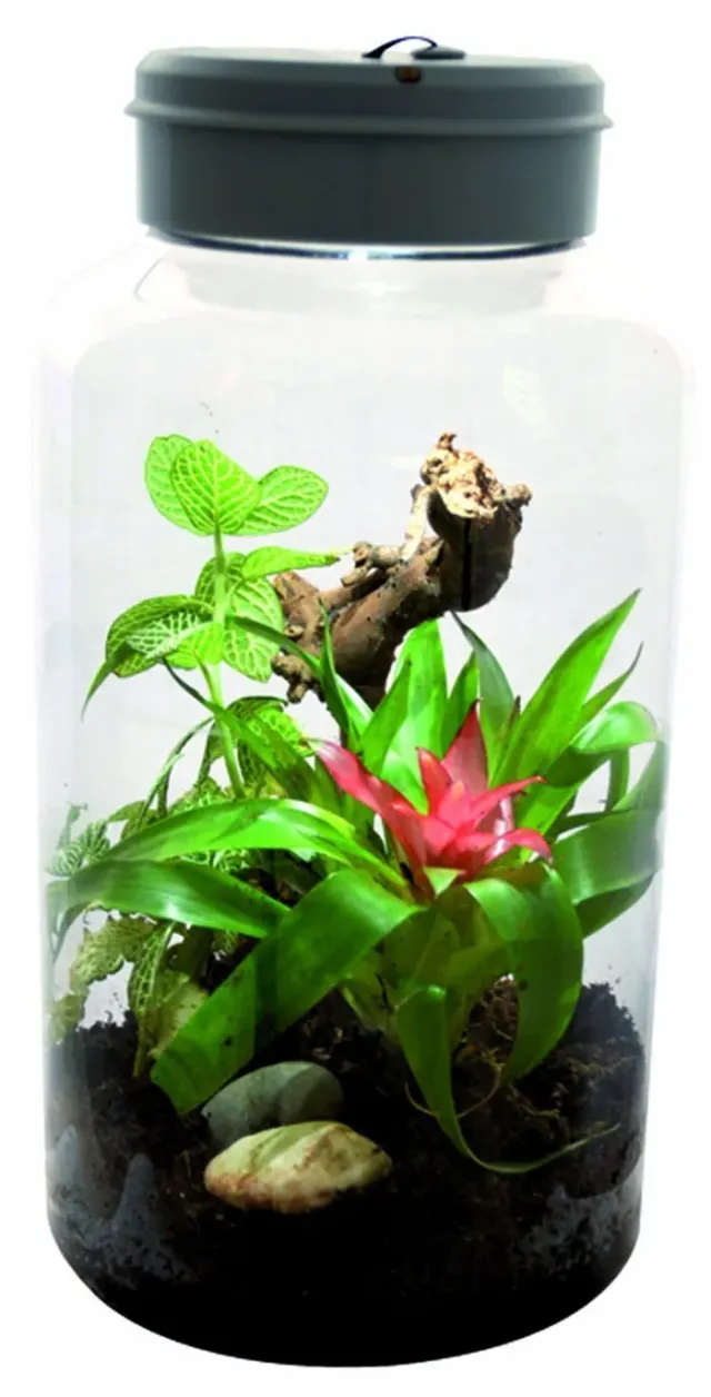 Lucky Reptile InsectTarrium Nanoterrarium mit Beleuchtung