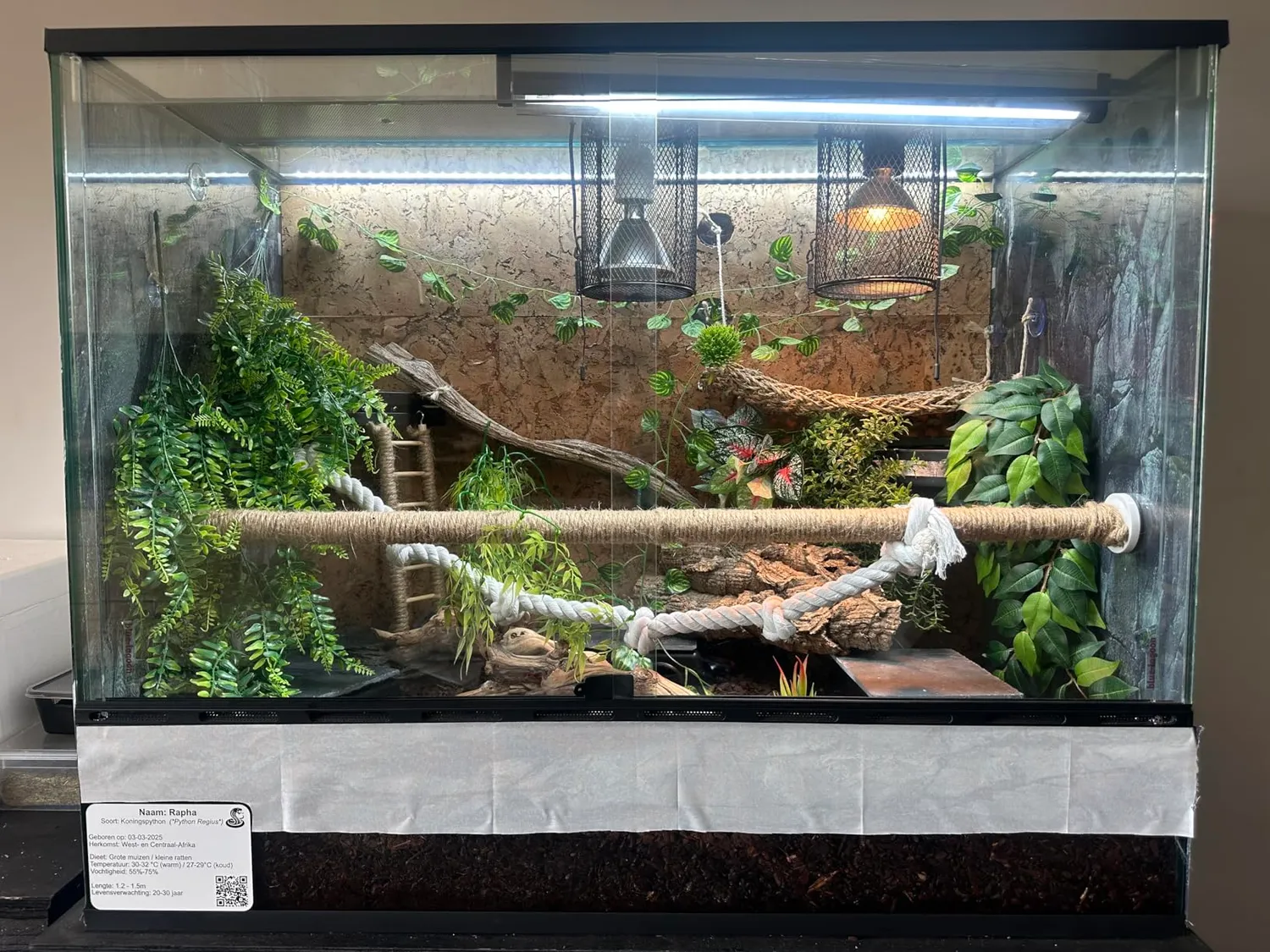 Lucky Reptile Lamp Cage Lampenschutzkorb 18 cm 13 cm