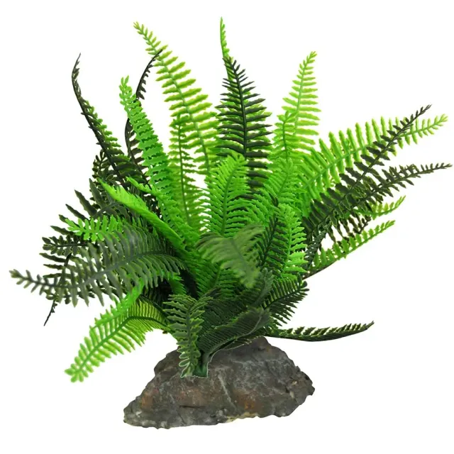 Lucky Reptile Farn Terrarienpflanze auf Steinsockel 25 cm