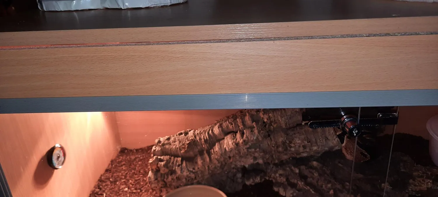 Lucky Reptile FT-8510B FurniTarrium Holzterrarium Buche