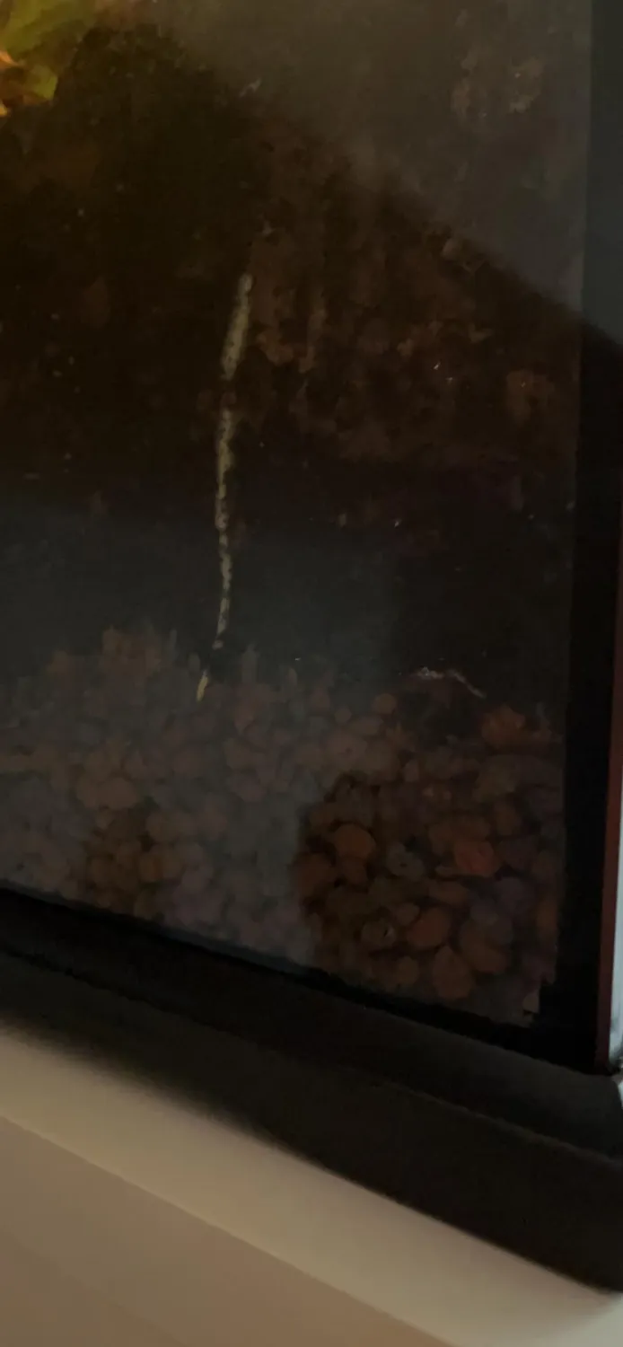 Lucky Reptile Hydro Drain Drainagesubstrat 8 L Ton