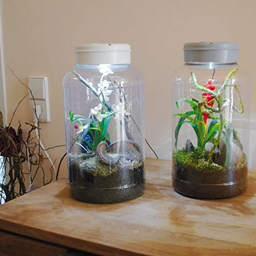 Lucky Reptile InsectTarrium Nanoterrarium mit Beleuchtung
