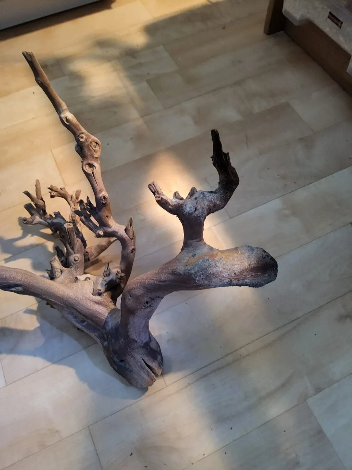 Lucky Reptile Rebholz Kletterholz