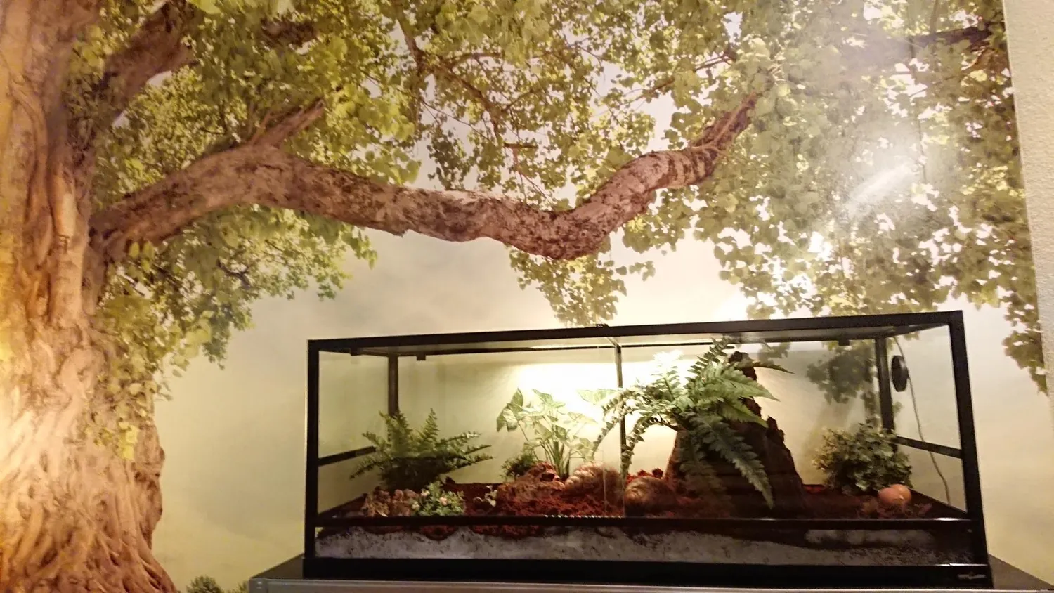 Repti-Zoo RK0222 Glas-Terrarium Glasterrarium