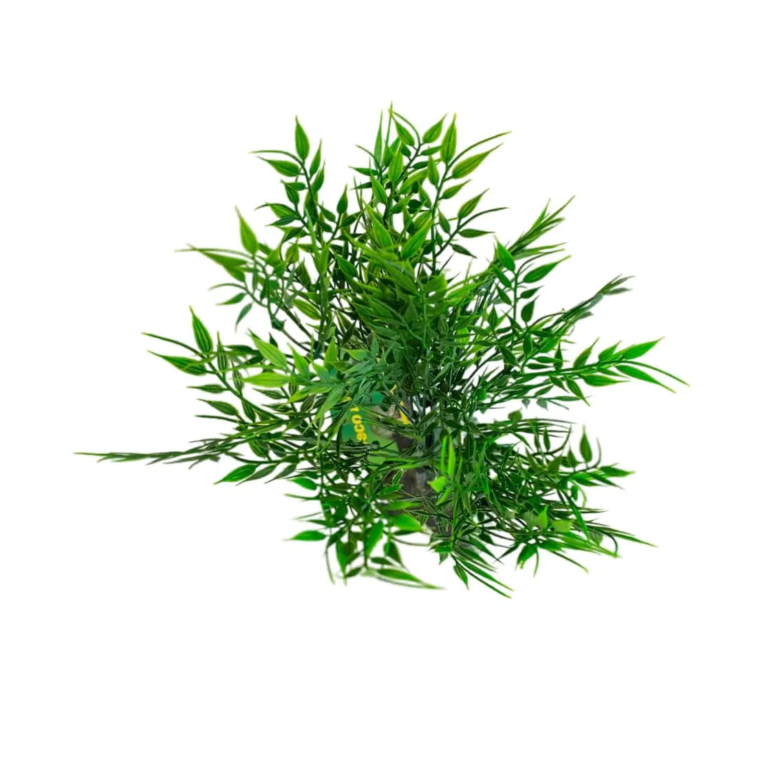 Lucky Reptile Bambusbüschel 64702 Terrarienpflanze 210 g 25 cm